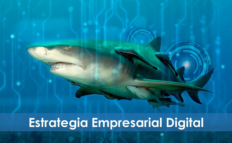 Email Dispositivos Semana 2 Febrero 01.jpg