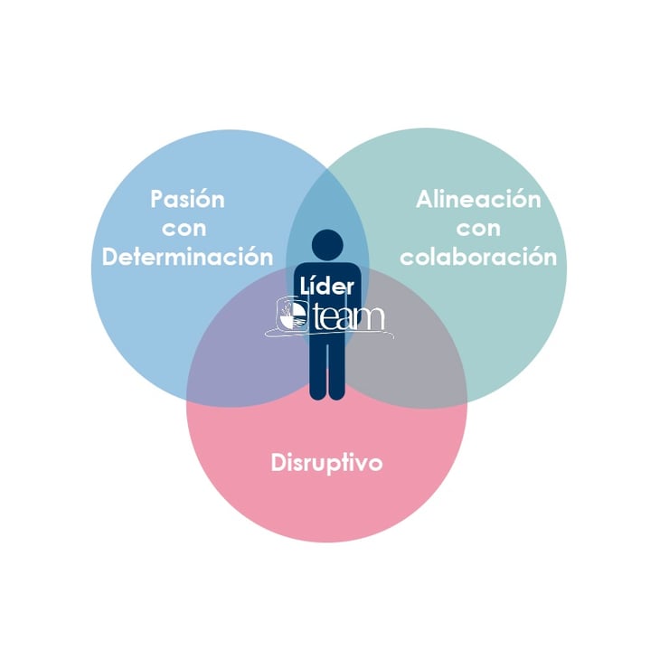 liderteam.jpg