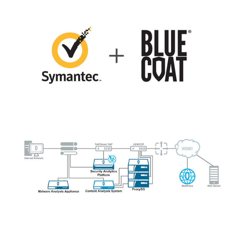 Diseño sin título (83).png